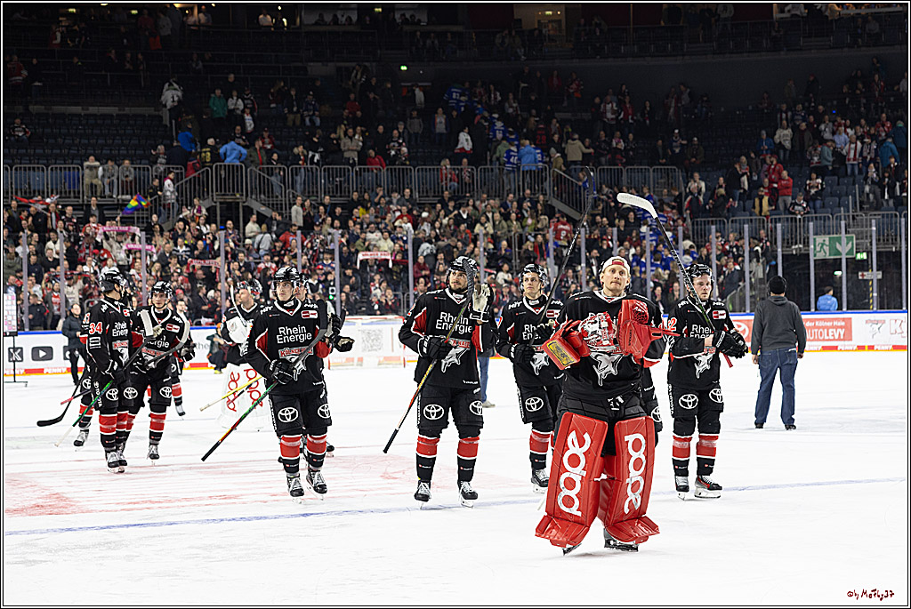 PENNY DEL 1; Kölner Haie - Fischtown Pinguins; Köln, 15.11.2024